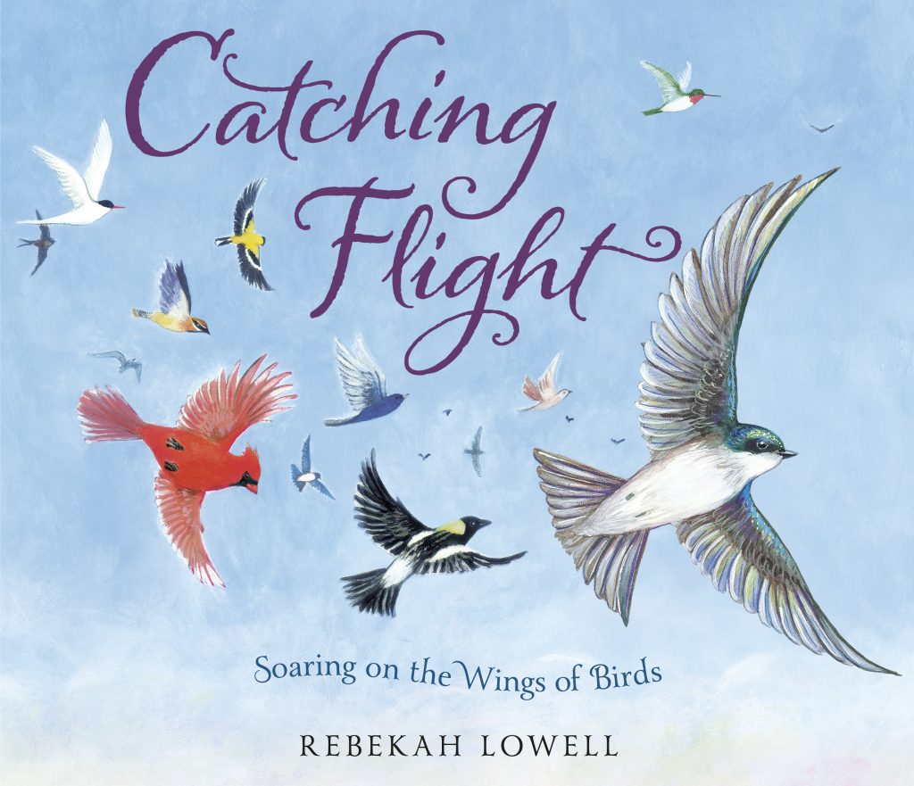 Book cover for Catching Flight by Rebekah Lowell. A variety of wild birds fly through a blue sky.