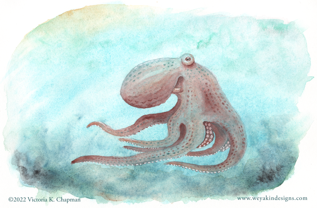 Octopus Running, Watercolor Mixed-Media Illustration 5x7" Signed Matted Digital Art Print