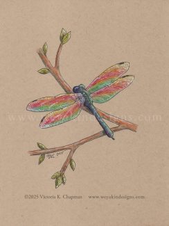 Wild Pride 2025 Collection: DragonPRIDE, Rainbow Dragonfly, Original Art Illustration by Victoria K. Chapman