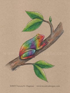 Wild Pride 2025 Collection: Gay Tree Frog, Original Art Illustration by Victoria K. Chapman