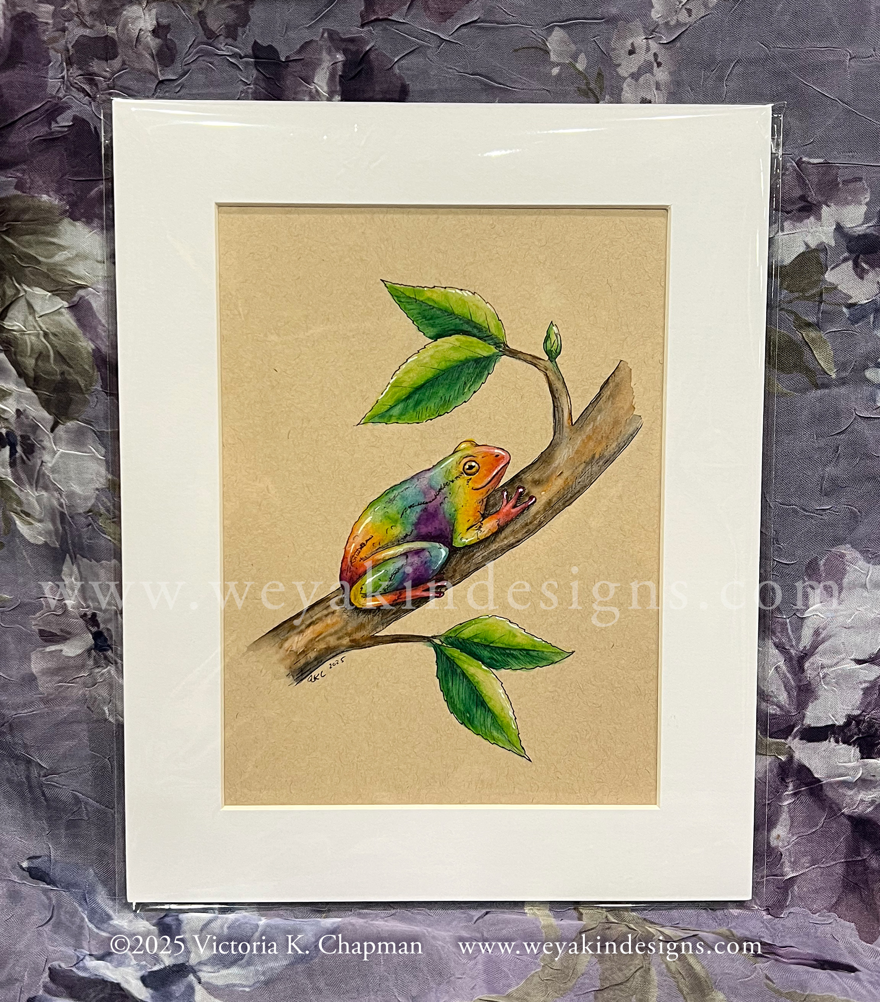 Wild Pride 2025 Collection: Gay Tree Frog, Original Art Illustration by Victoria K. Chapman