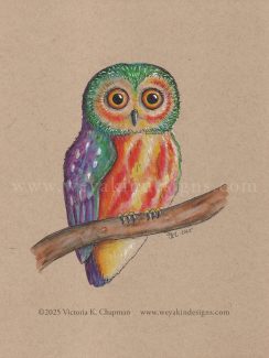 Wild Pride 2025 Collection: Owl the Colors, Rainbow Northern Saw-Whet Owl, Original Art Illustration by Victoria K. Chapman