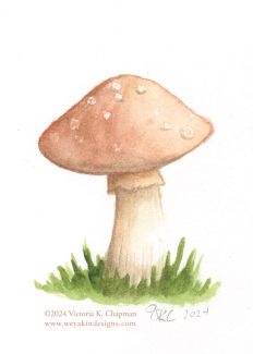 A small brown amanita mushroom with white spots sits in a spot of grass. A very tiny watercolor painting by Victoria K. Chapman.