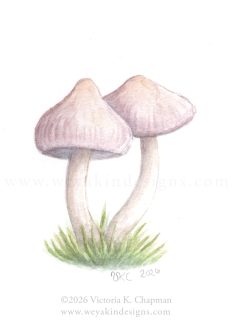“Lilacana” Miniature Mushroom Watercolor Painting. Framed and signed ORIGINAL art.