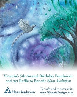 Victoria’s 5th Annual Birthday Fundraiser and Art Raffle to Benefit Mass Audubon. For info and to enter visit: www.WeyakinDesigns.com.