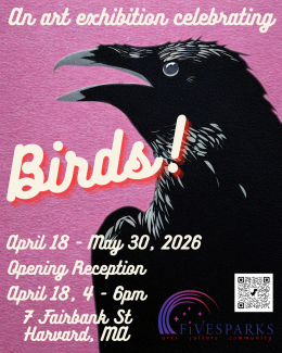 A pink background with a black crow face with an open beak in profile. The flyer reads, “An art exhibition celebrating Birds! April 18 - May 30, 2026. Opening Reception, April 18, 4pm-6pm. 7 Fairbank Street, Harvard, MA."