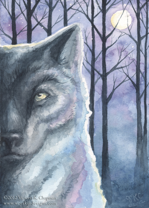 Nature Nights #1: Wolf
