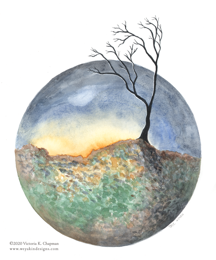 Trees of Time: November Twilight