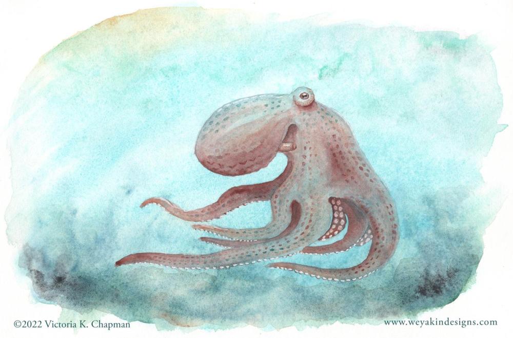 Octopus Running