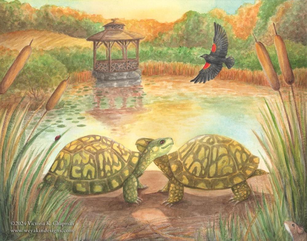 Castor and Pollux Reunited