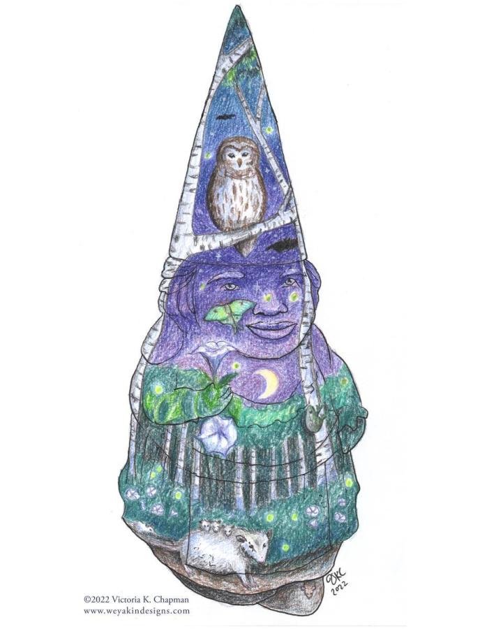 The Gnome of Nocturnal Wonders - Proposal Illustration