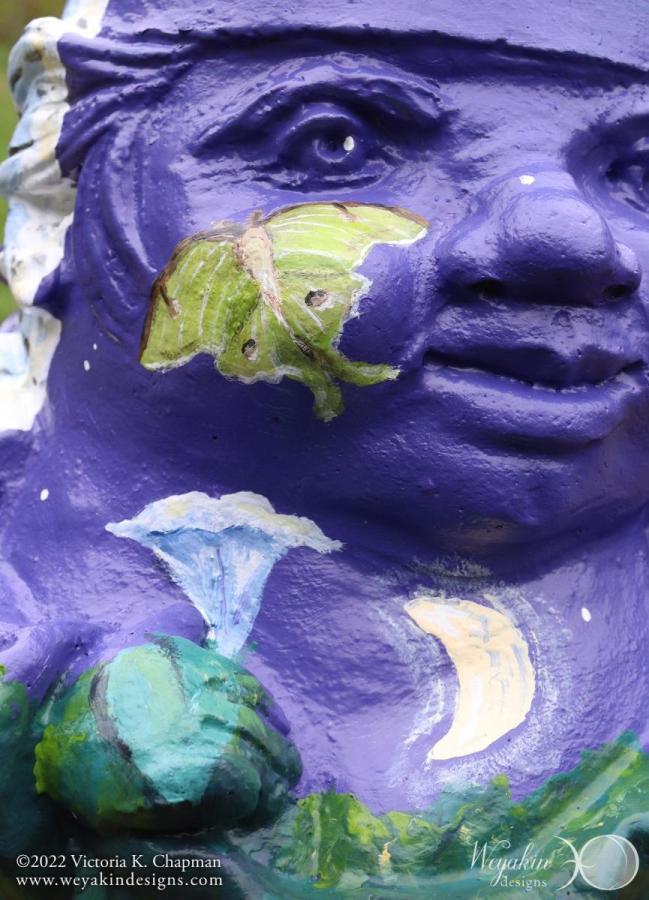 The Gnome of Nocturnal Wonders