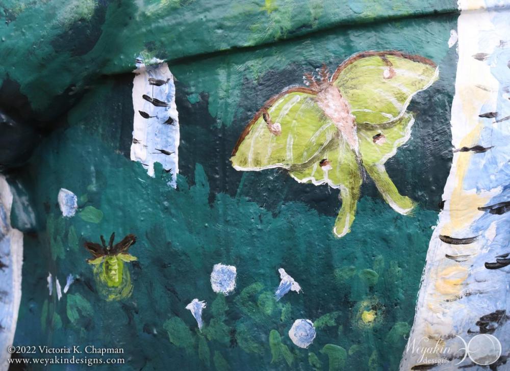 The Gnome of Nocturnal Wonders