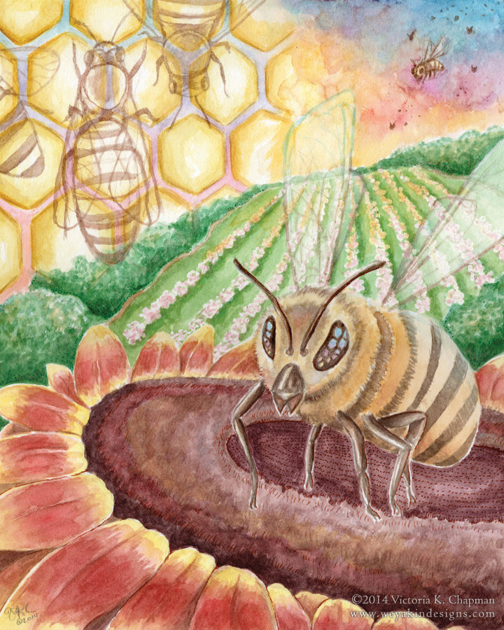 Pollinate: Honey Bee
