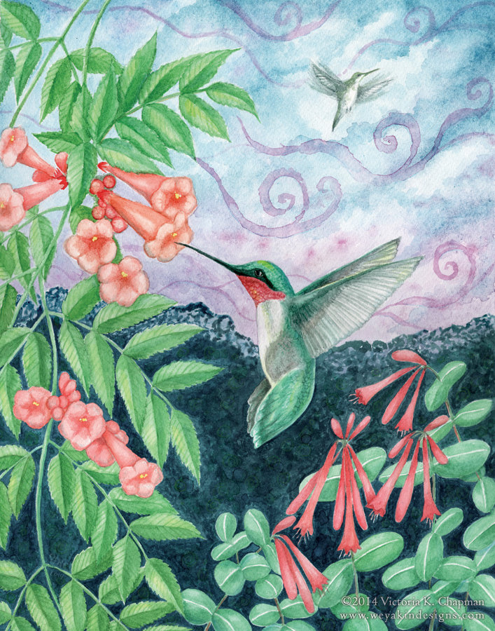 Pollinate: Ruby Throated Hummingbird